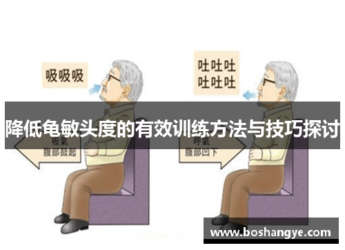 降低龟敏头度的有效训练方法与技巧探讨 降低龟敏头度的有效训练方法与技巧探讨