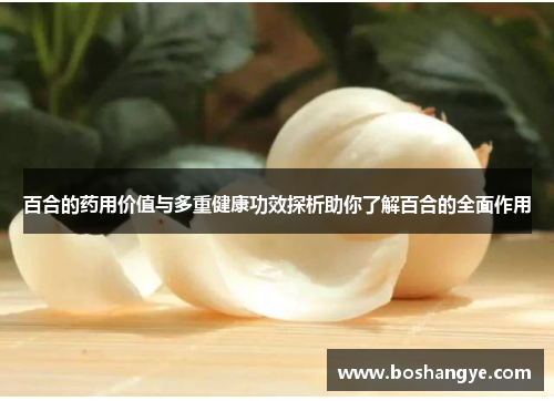 百合的药用价值与多重健康功效探析助你了解百合的全面作用 百合的药用价值与多重健康功效探析助你了解百合的全面作用